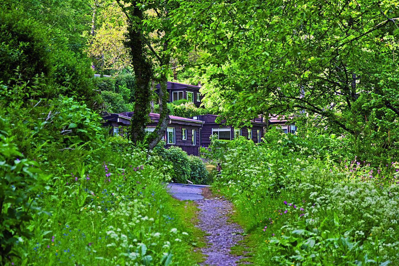 Churchwood Valley Wembury Exterior foto
